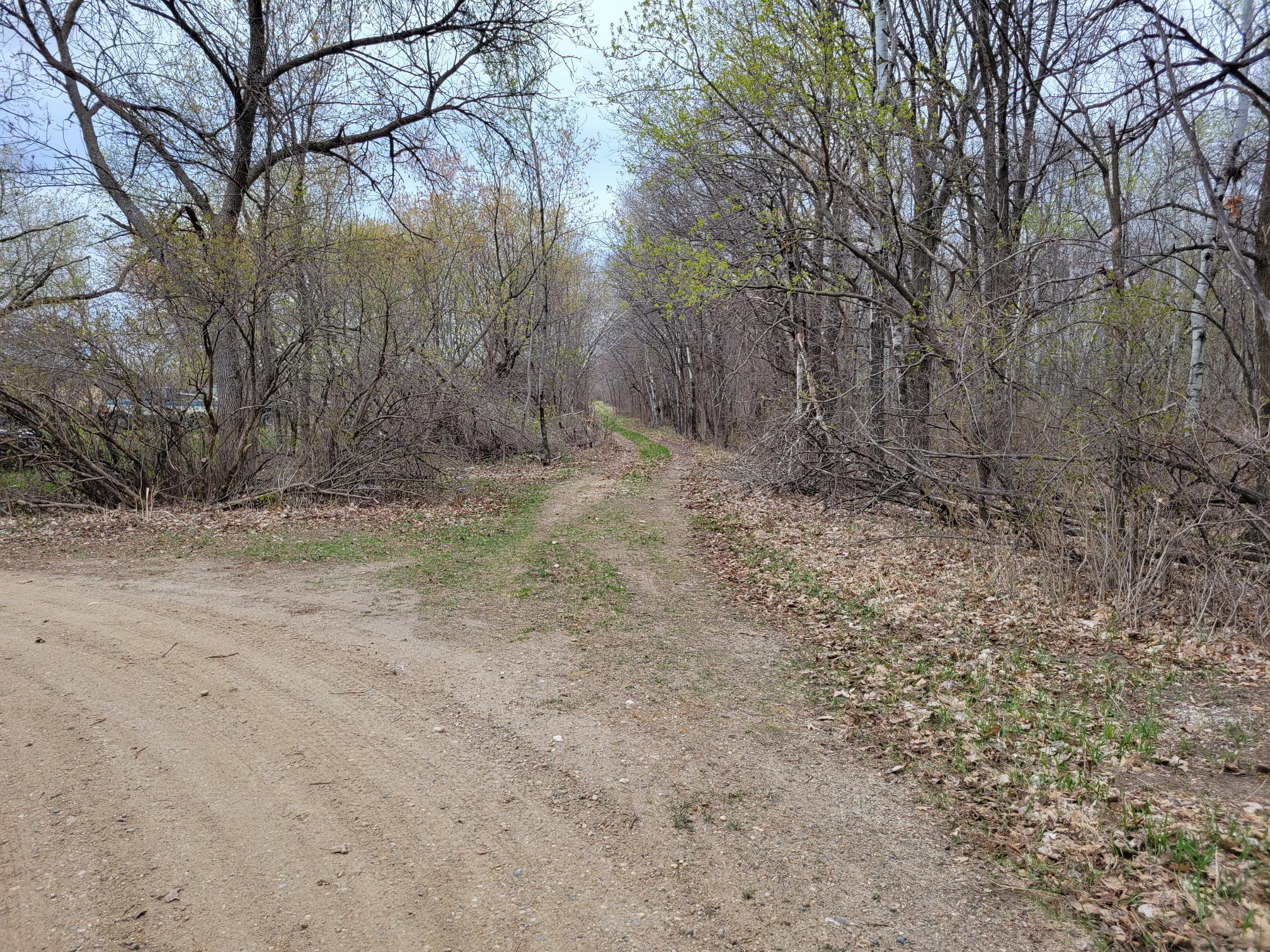 land for sale at 38XXX 385th Street in Richville, MN (photo 3 of 27)