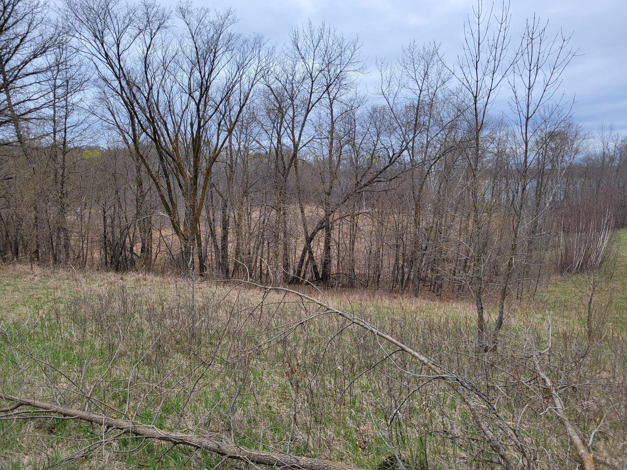 land for sale at 38XXX 385th Street in Richville, MN (photo 22 of 27)