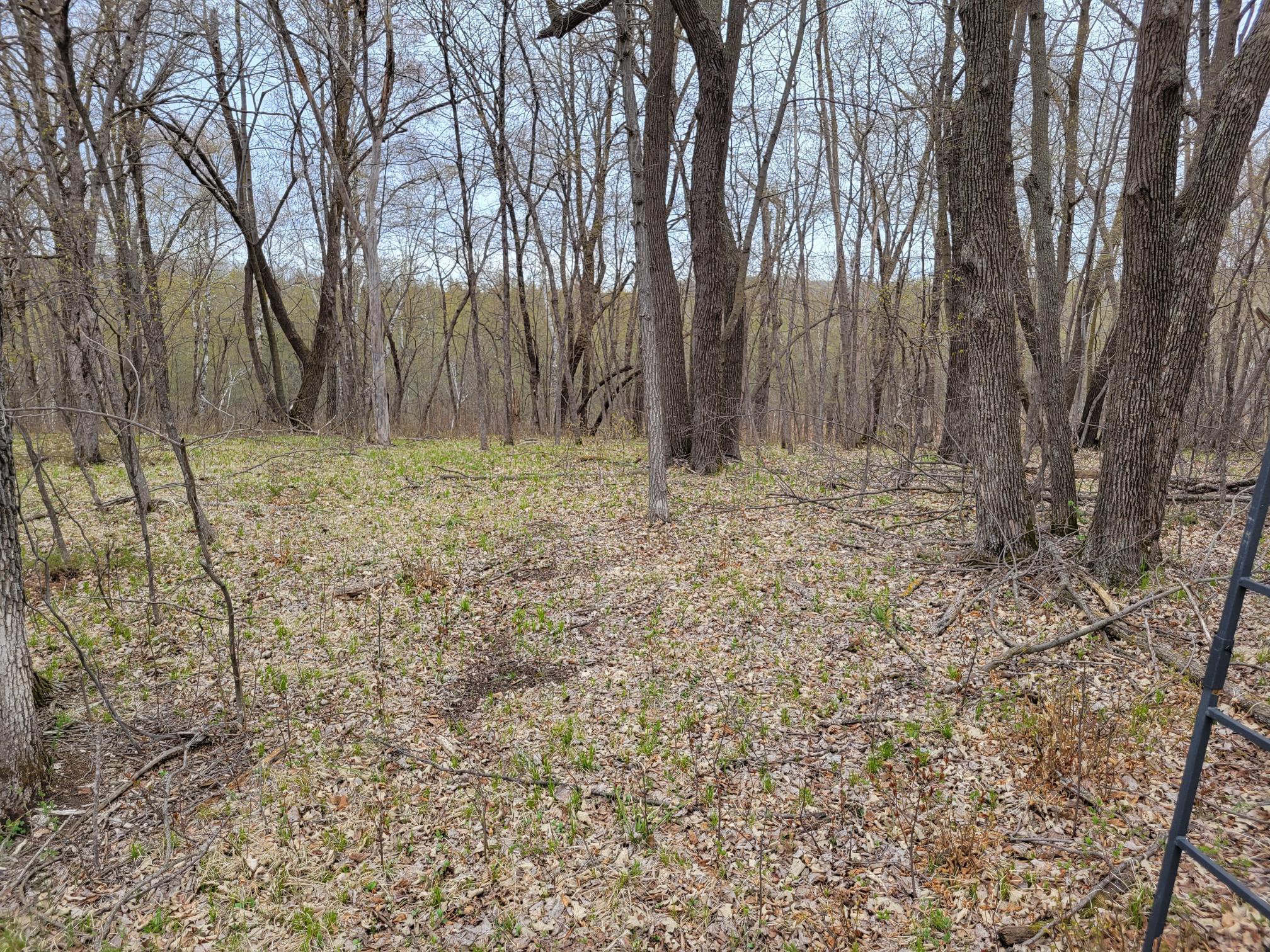 land for sale at 38XXX 385th Street in Richville, MN (photo 23 of 27)