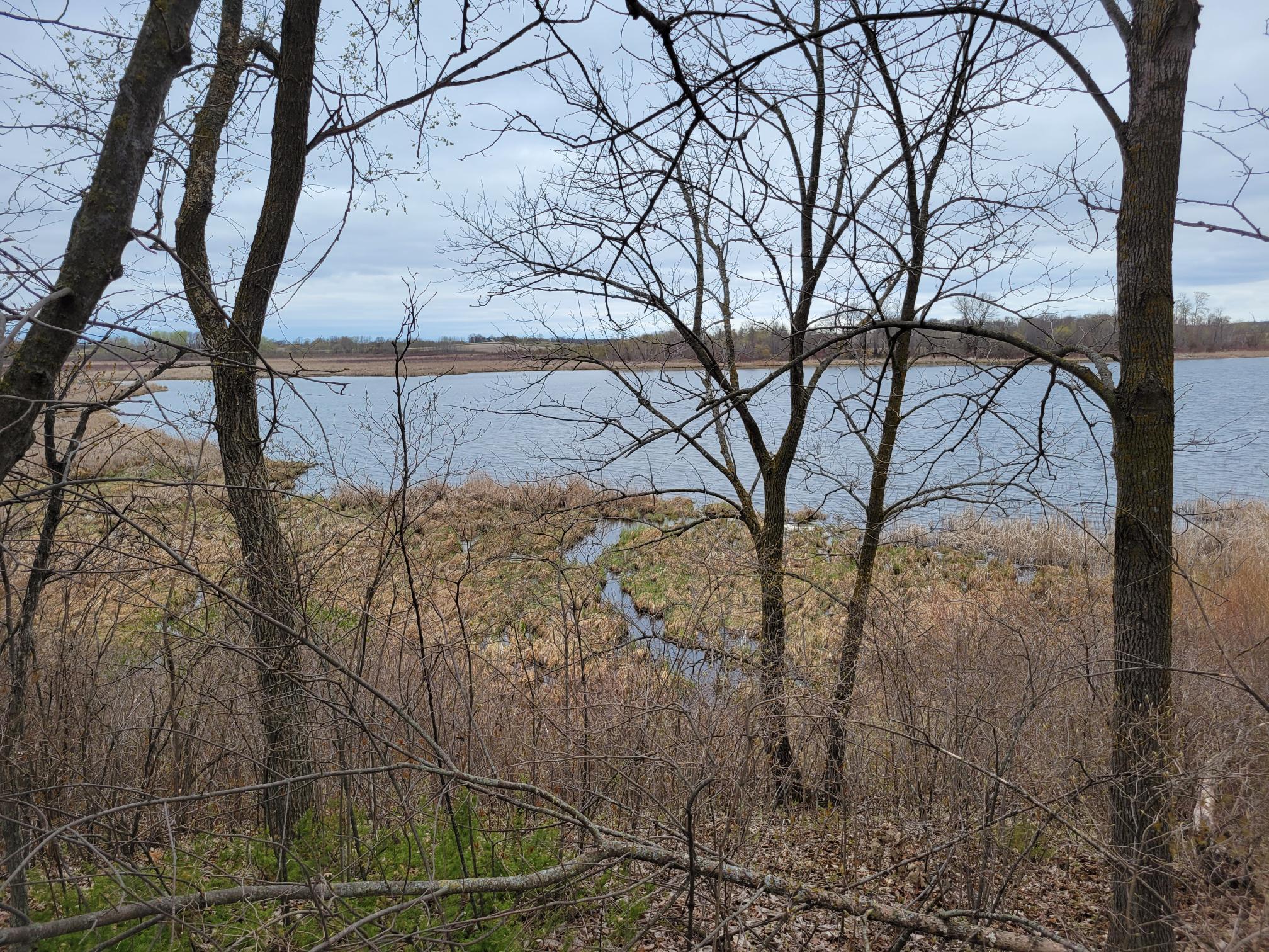 land for sale at 38XXX 385th Street in Richville, MN (photo 24 of 27)