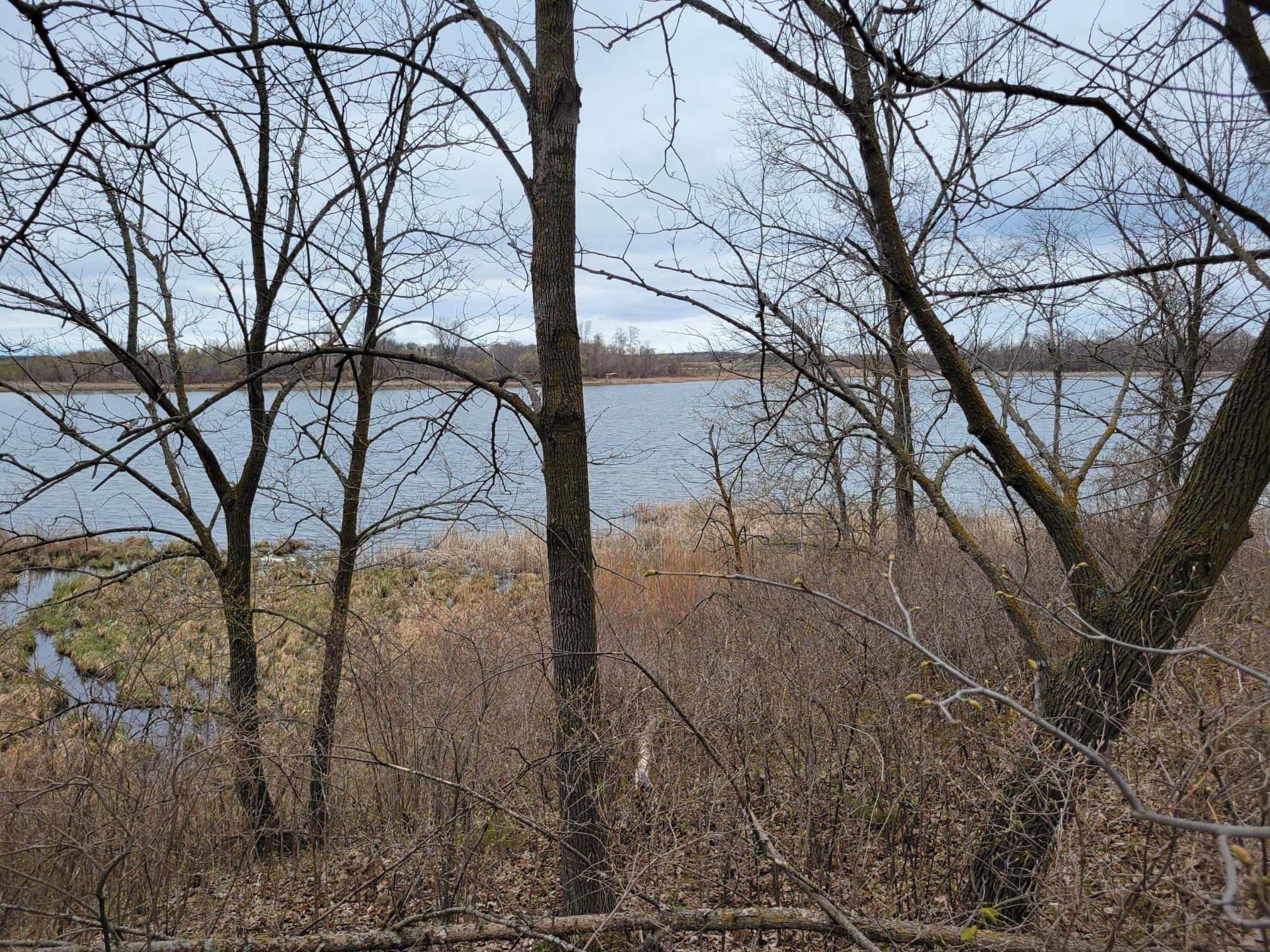 land for sale at 38XXX 385th Street in Richville, MN (photo 25 of 27)