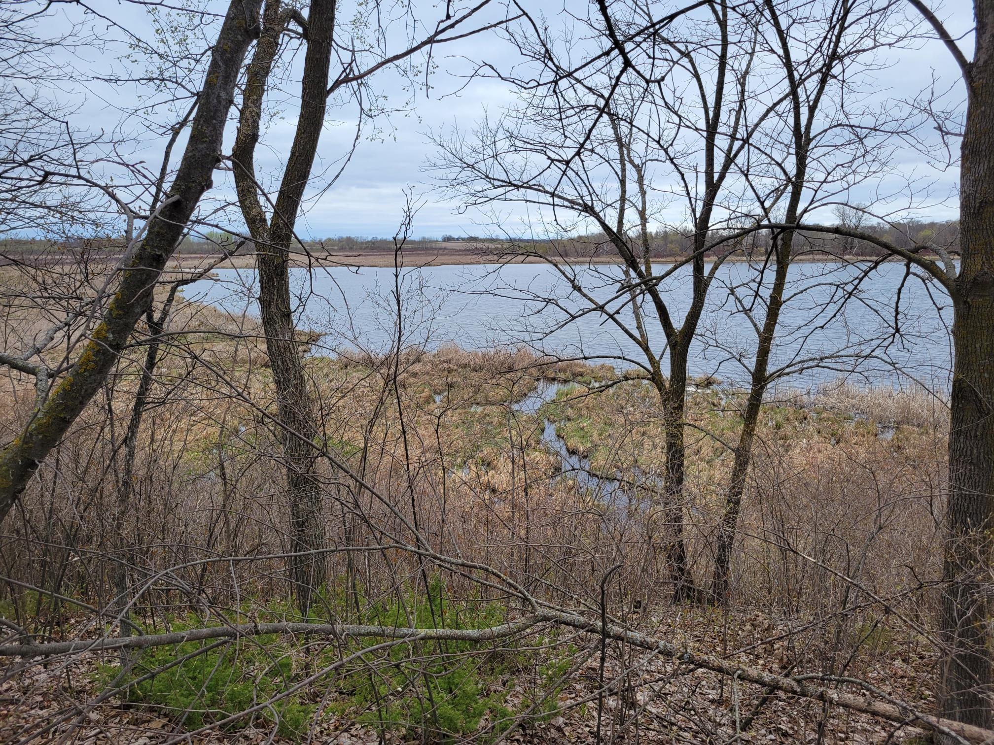 land for sale at 38XXX 385th Street in Richville, MN (photo 26 of 27)