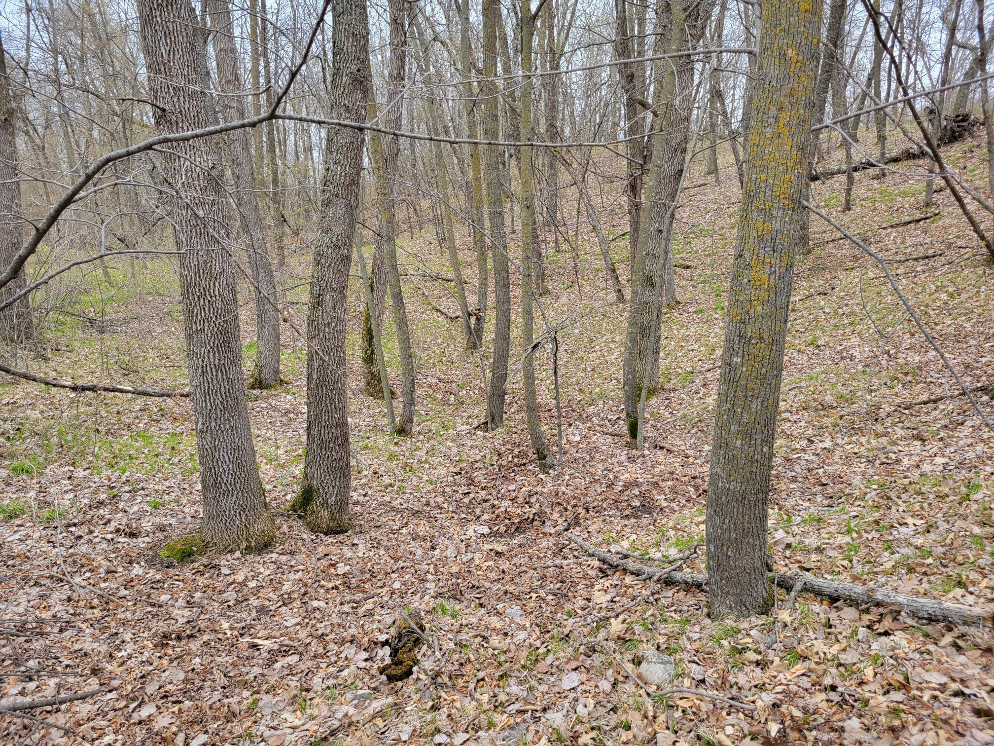 land for sale at 38XXX 385th Street in Richville, MN (photo 27 of 27)