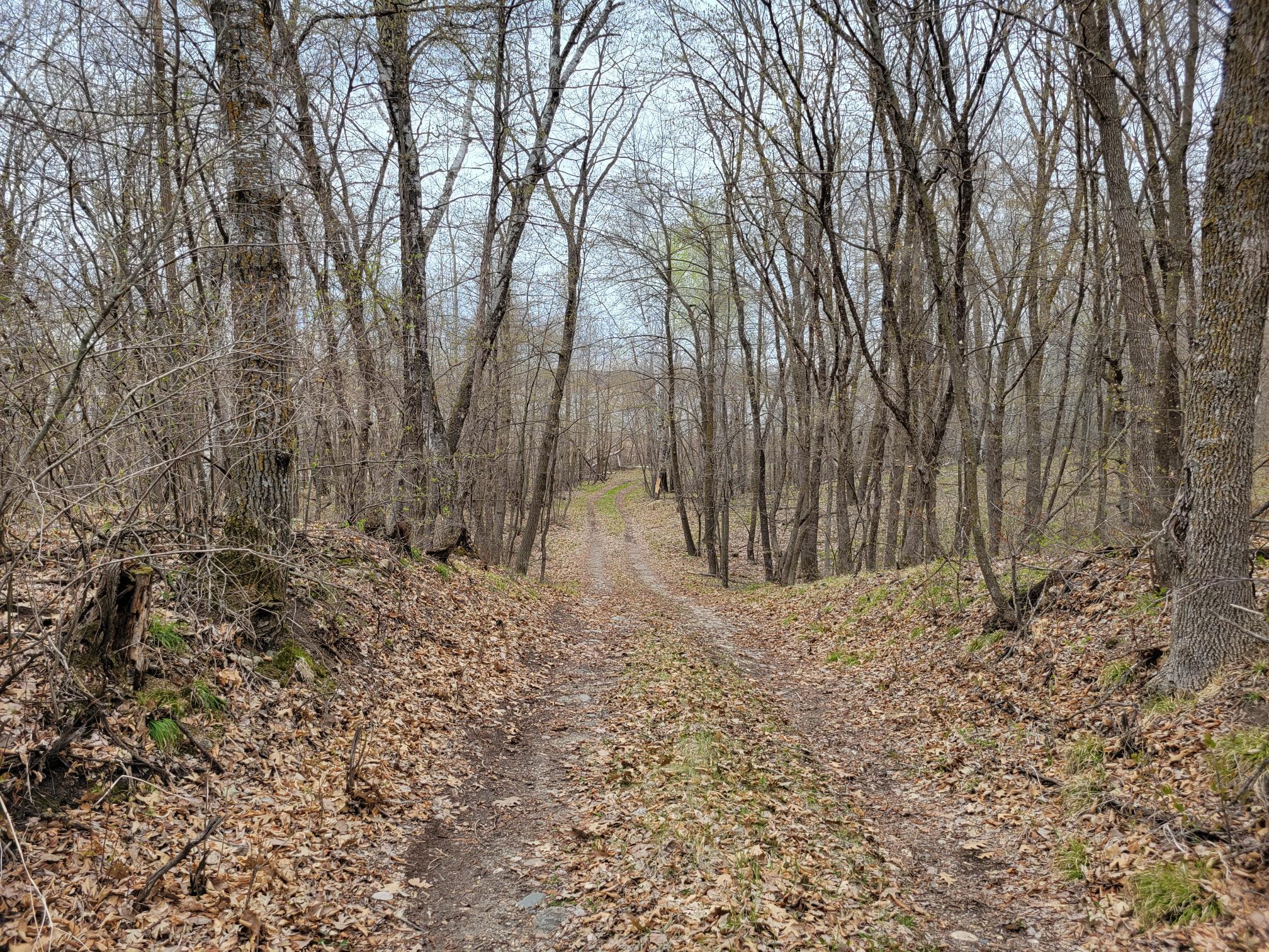 land for sale at 38XXX 385th Street in Richville, MN (photo 5 of 27)
