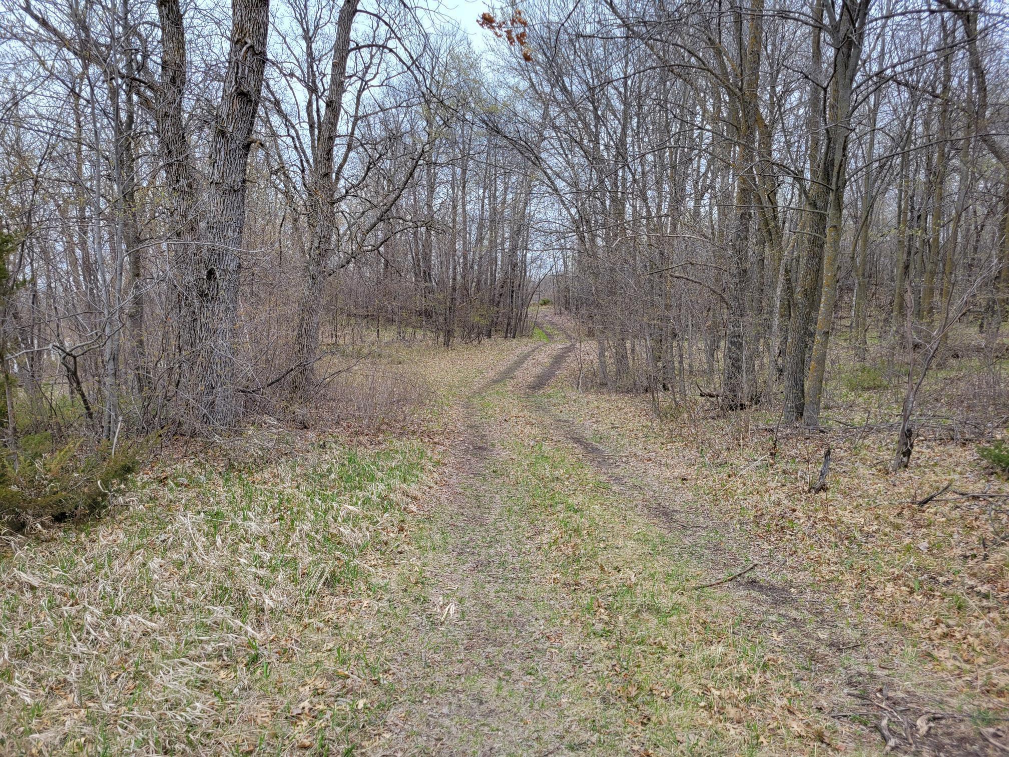 land for sale at 38XXX 385th Street in Richville, MN (photo 6 of 27)