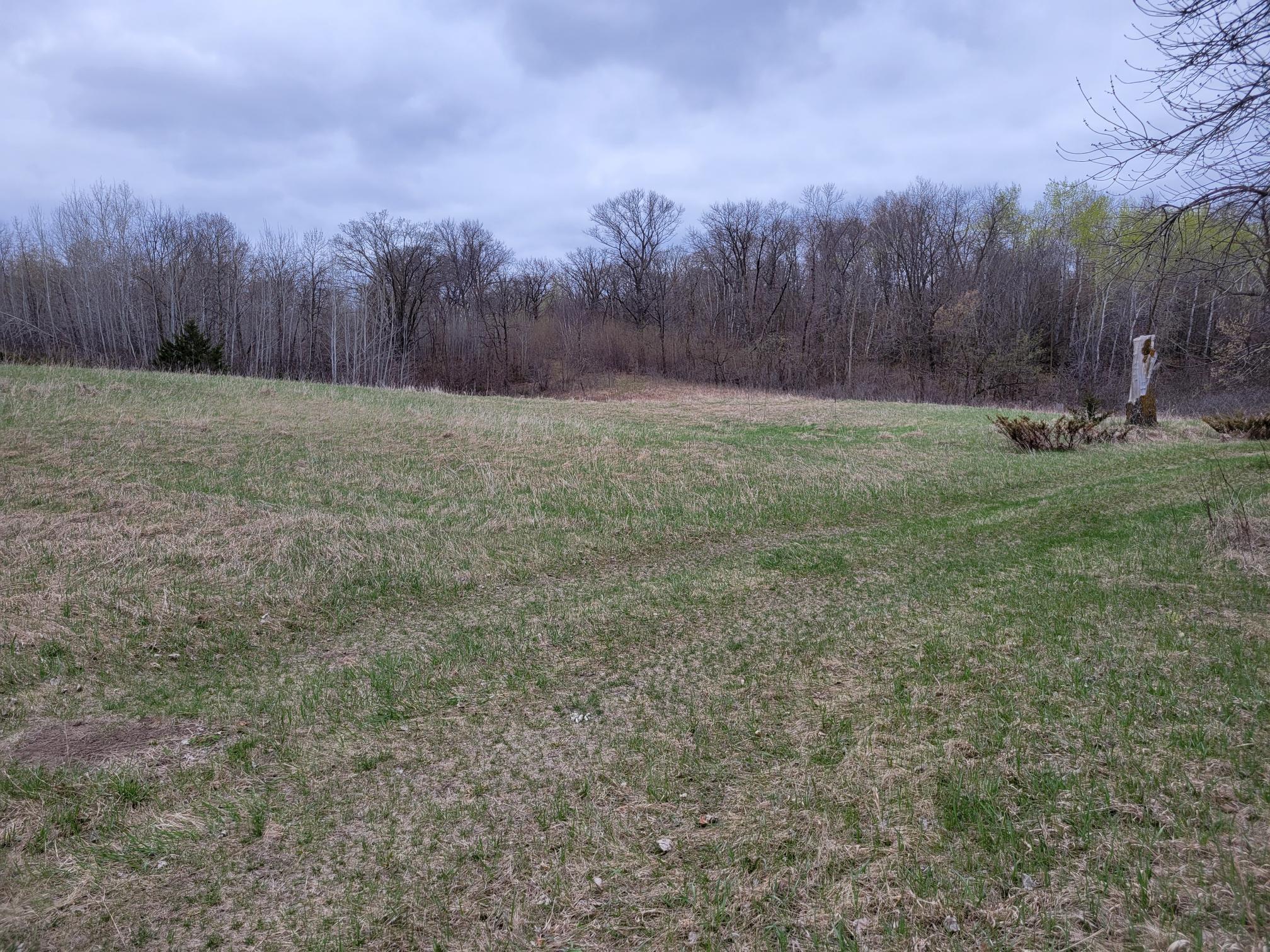land for sale at 38XXX 385th Street in Richville, MN (photo 7 of 27)