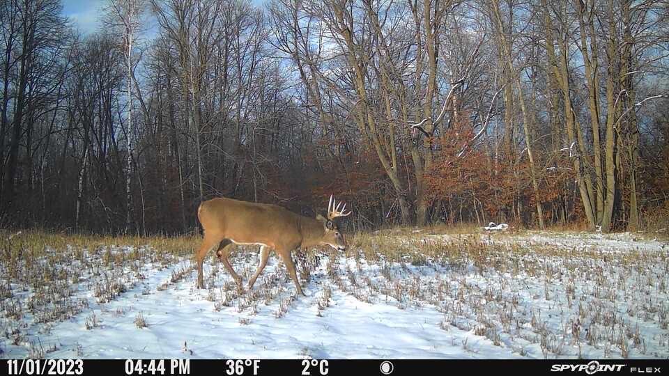 land for sale at 38XXX 385th Street in Richville, MN (photo 8 of 27)