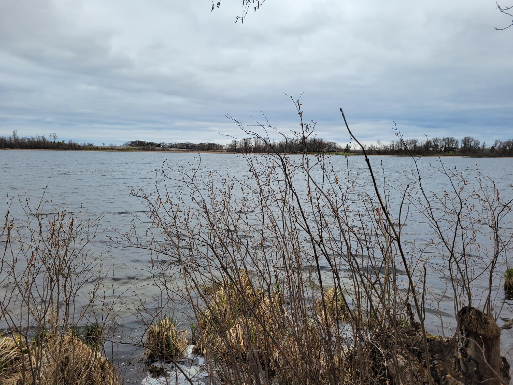 land for sale at 38XXX 385th Street in Richville, MN (photo 9 of 27)