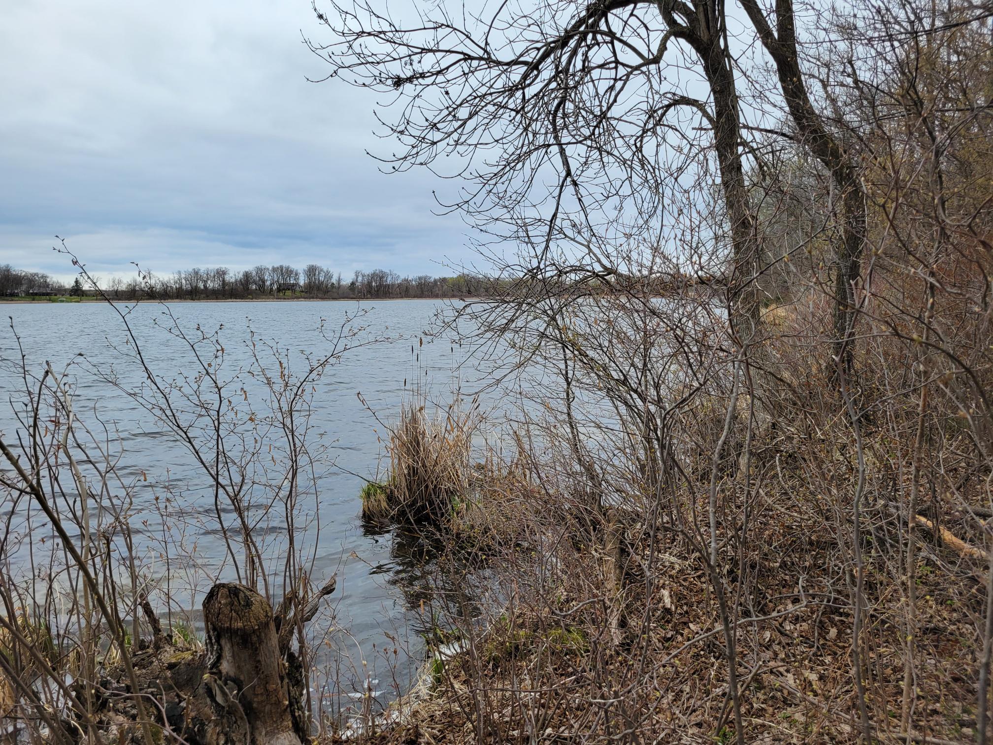 land for sale at 38XXX 385th Street in Richville, MN (photo 10 of 27)