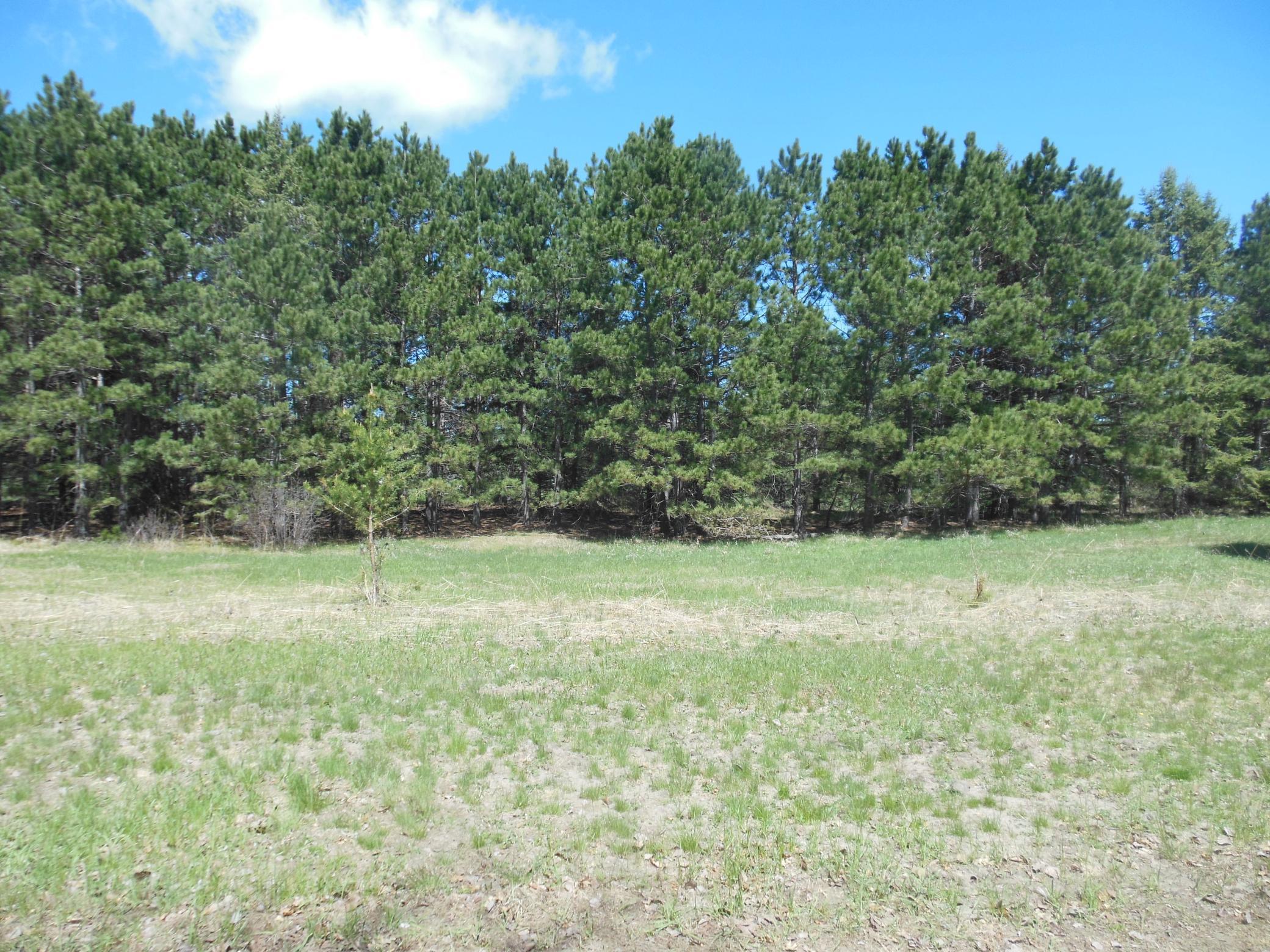 land for sale at TBD Red Sequia Drive N in Baxter, MN (photo 3 of 4)