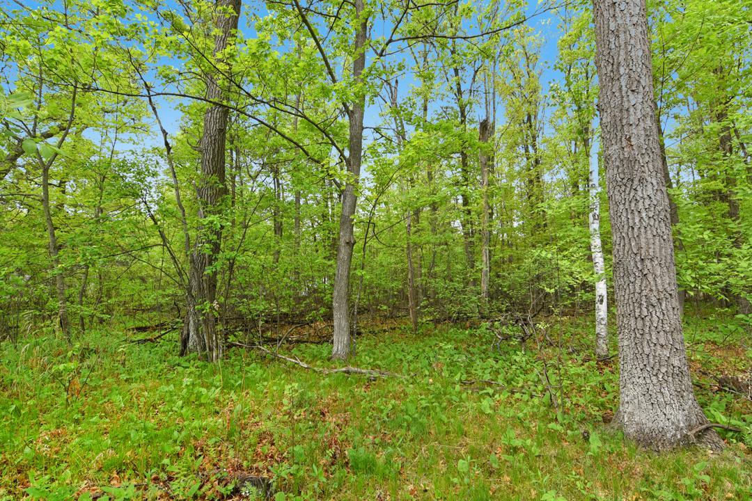 land for sale at XXX Maplewood Drive in East Gull Lake, MN (photo 11 of 23)