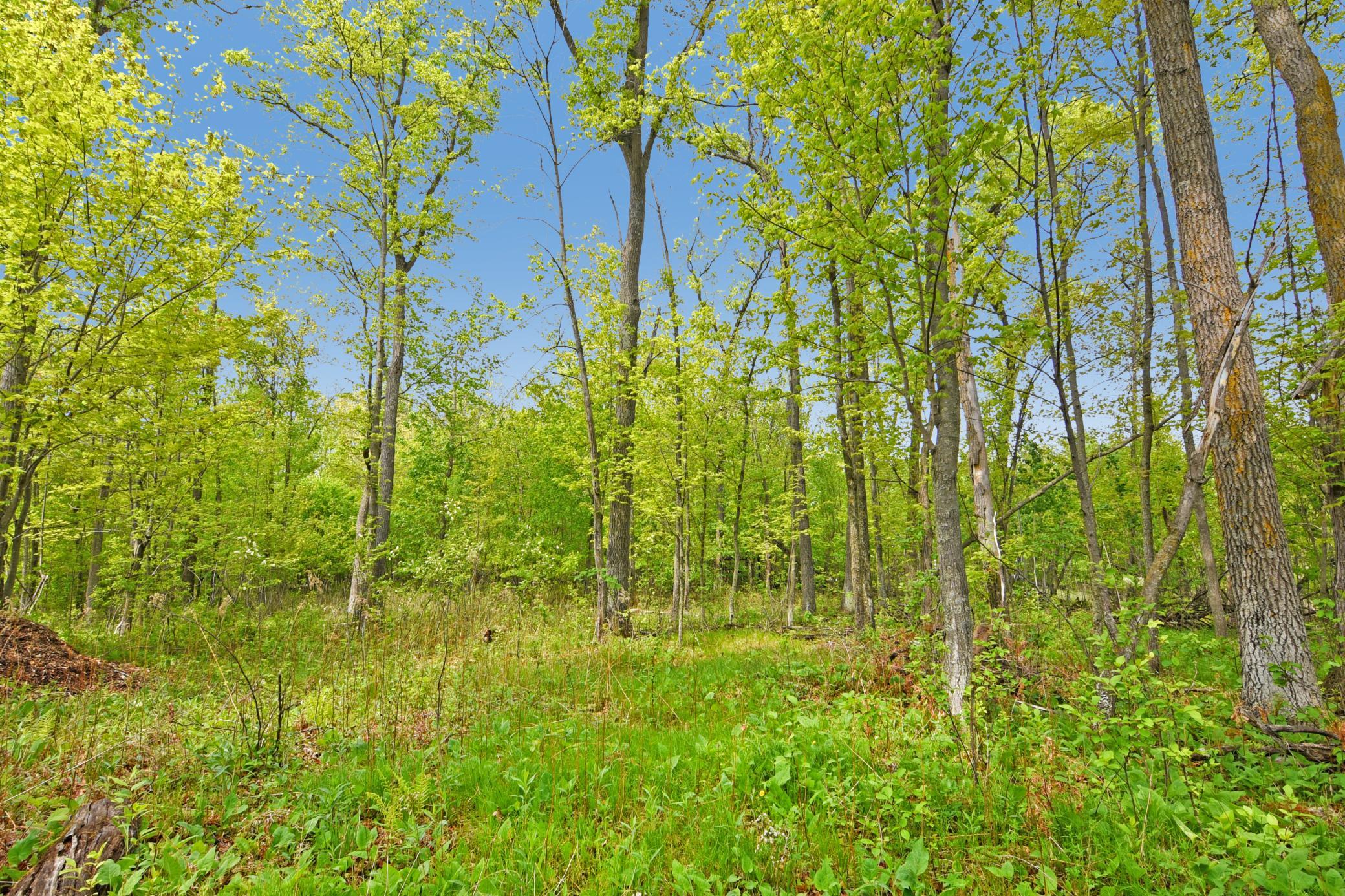 land for sale at XXX Maplewood Drive in East Gull Lake, MN (photo 13 of 23)