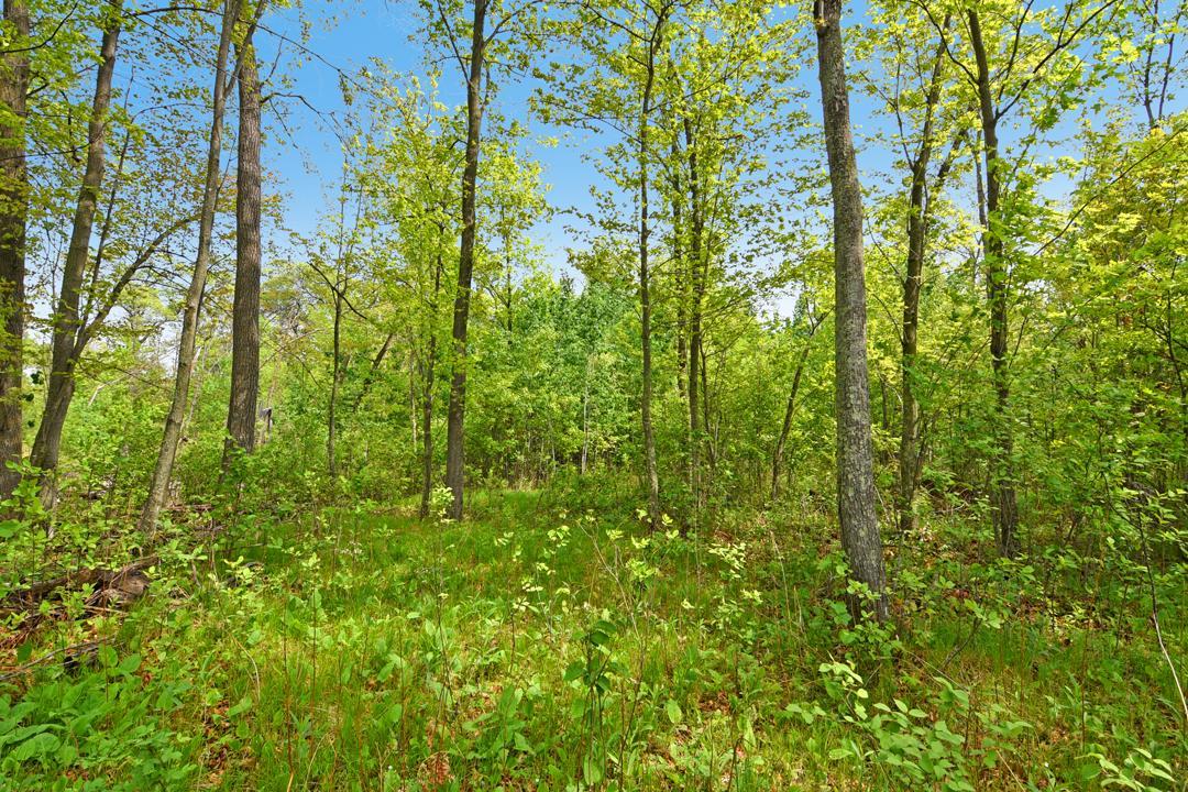 land for sale at XXX Maplewood Drive in East Gull Lake, MN (photo 14 of 23)