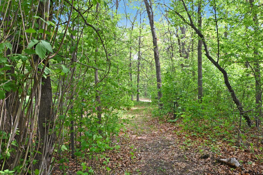 land for sale at XXX Maplewood Drive in East Gull Lake, MN (photo 21 of 23)