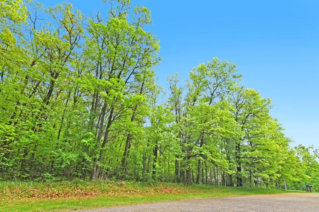 land for sale at XXX Maplewood Drive in East Gull Lake, MN (photo 6 of 23)