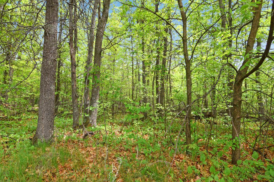 land for sale at XXX Maplewood Drive in East Gull Lake, MN (photo 7 of 23)