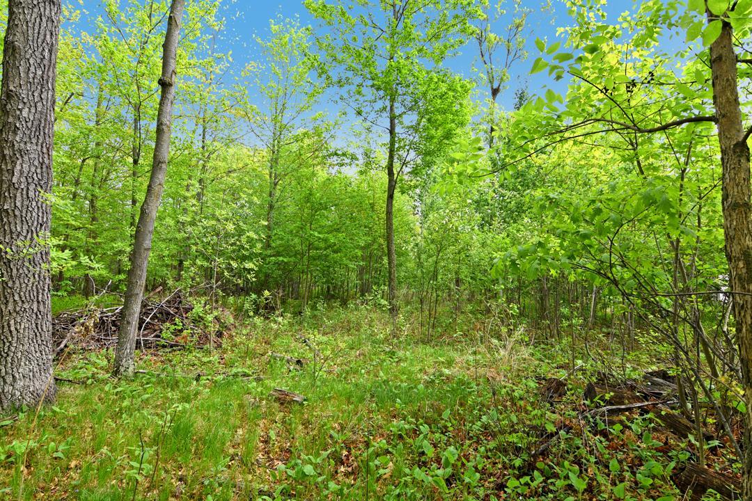 land for sale at XXX Maplewood Drive in East Gull Lake, MN (photo 9 of 23)