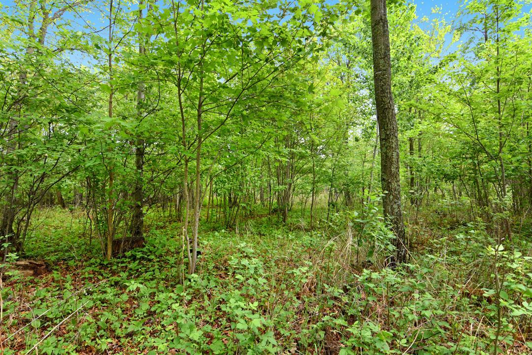 land for sale at XXX Maplewood Drive in East Gull Lake, MN (photo 10 of 23)