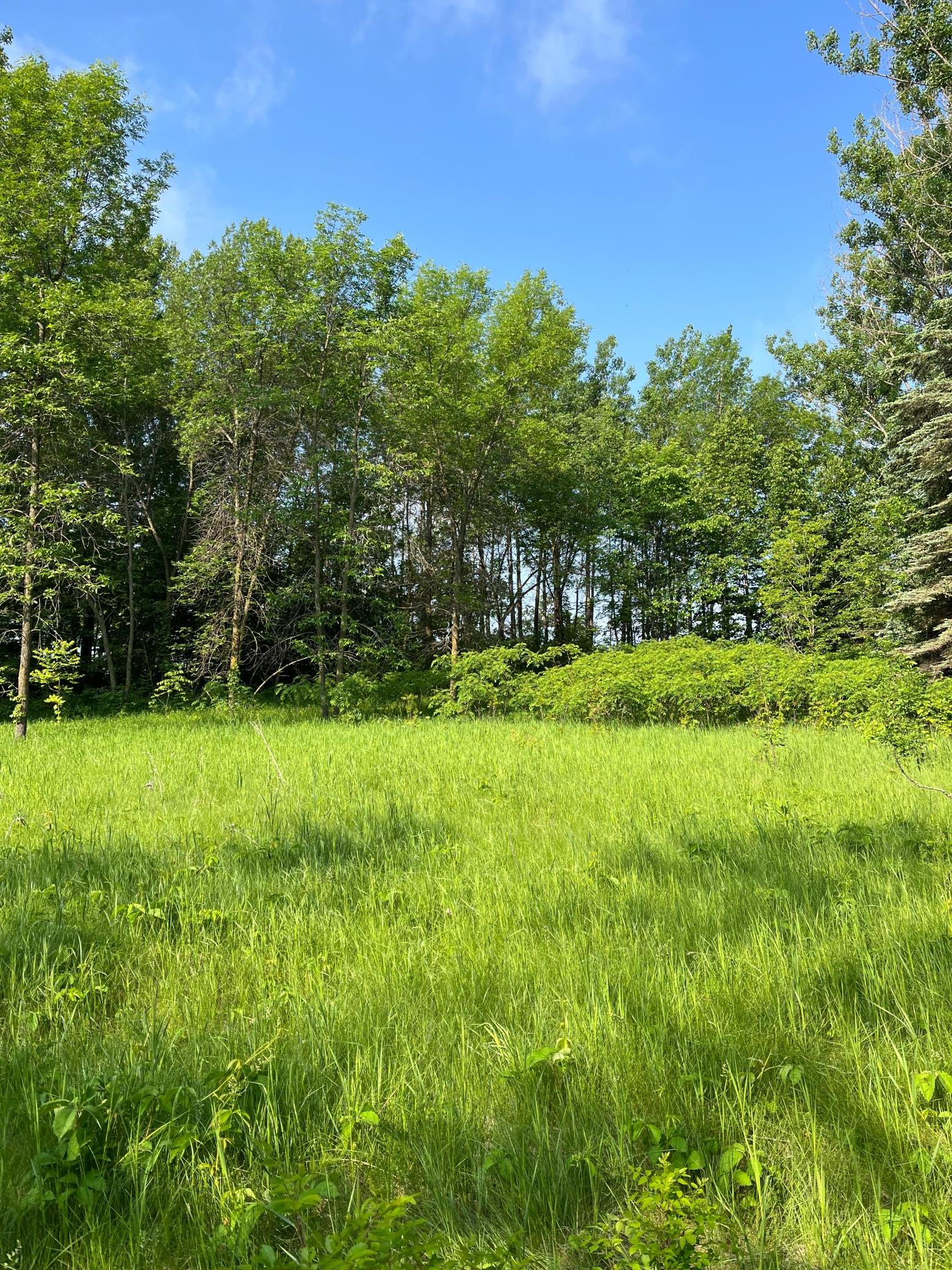 TBD Wild Rose Trail, Frazee MN 56544 - Photo 2 of 26
