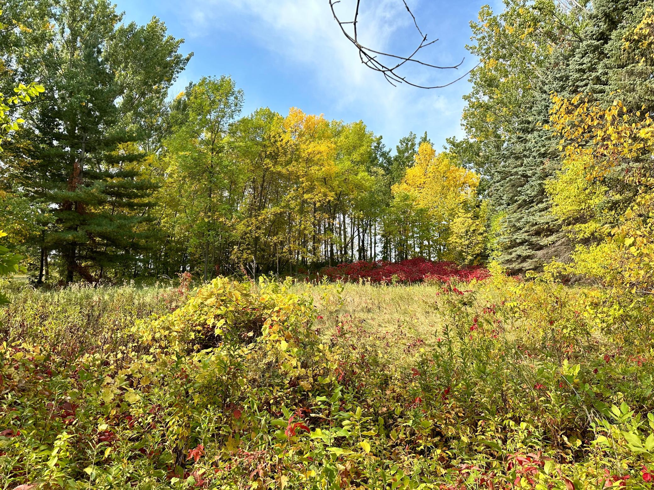TBD Wild Rose Trail, Frazee MN 56544 - Photo 18 of 26