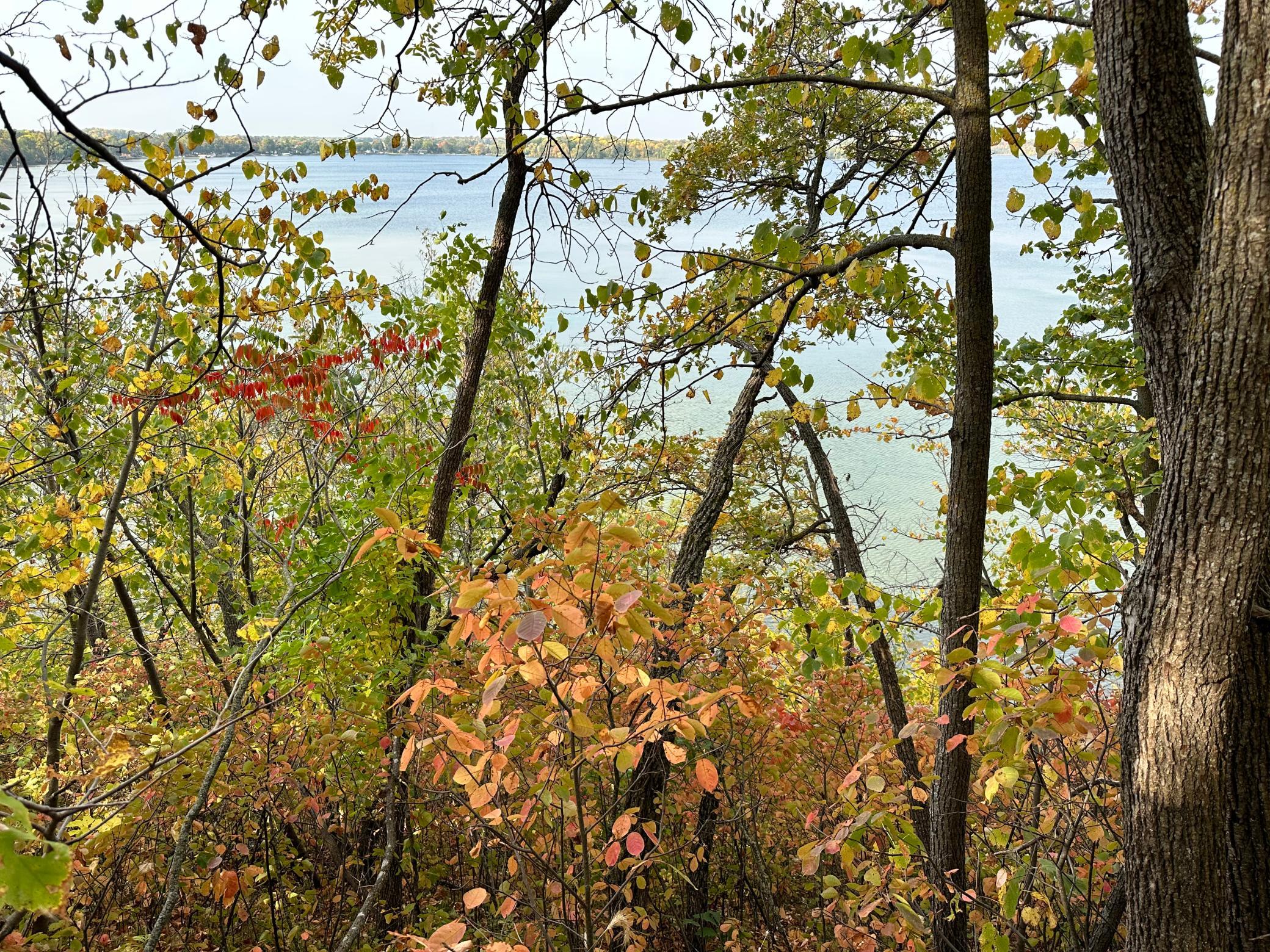 TBD Wild Rose Trail, Frazee MN 56544 - Photo 21 of 26
