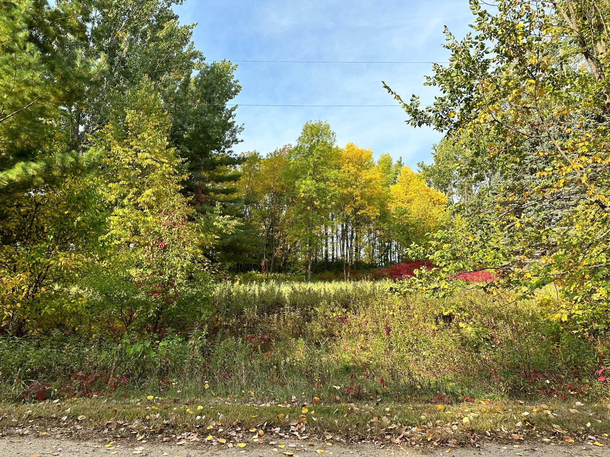 TBD Wild Rose Trail, Frazee MN 56544 - Photo 22 of 26