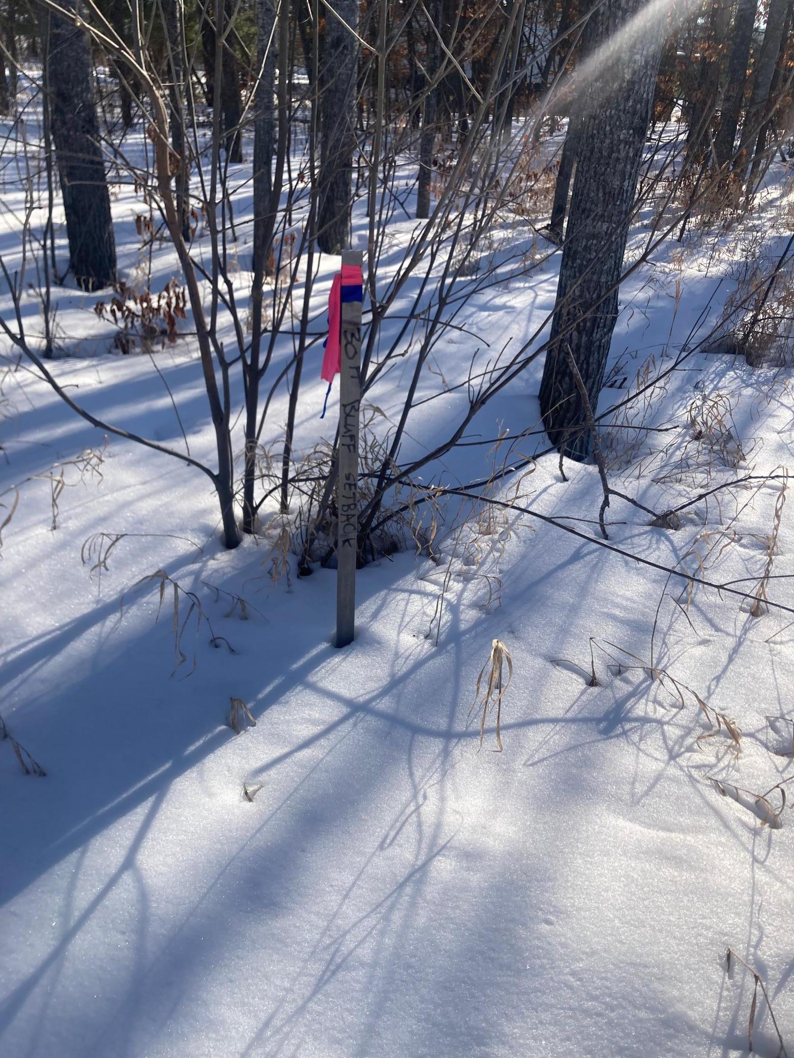 TBD Wild Rose Trail, Frazee MN 56544 - Photo 24 of 26