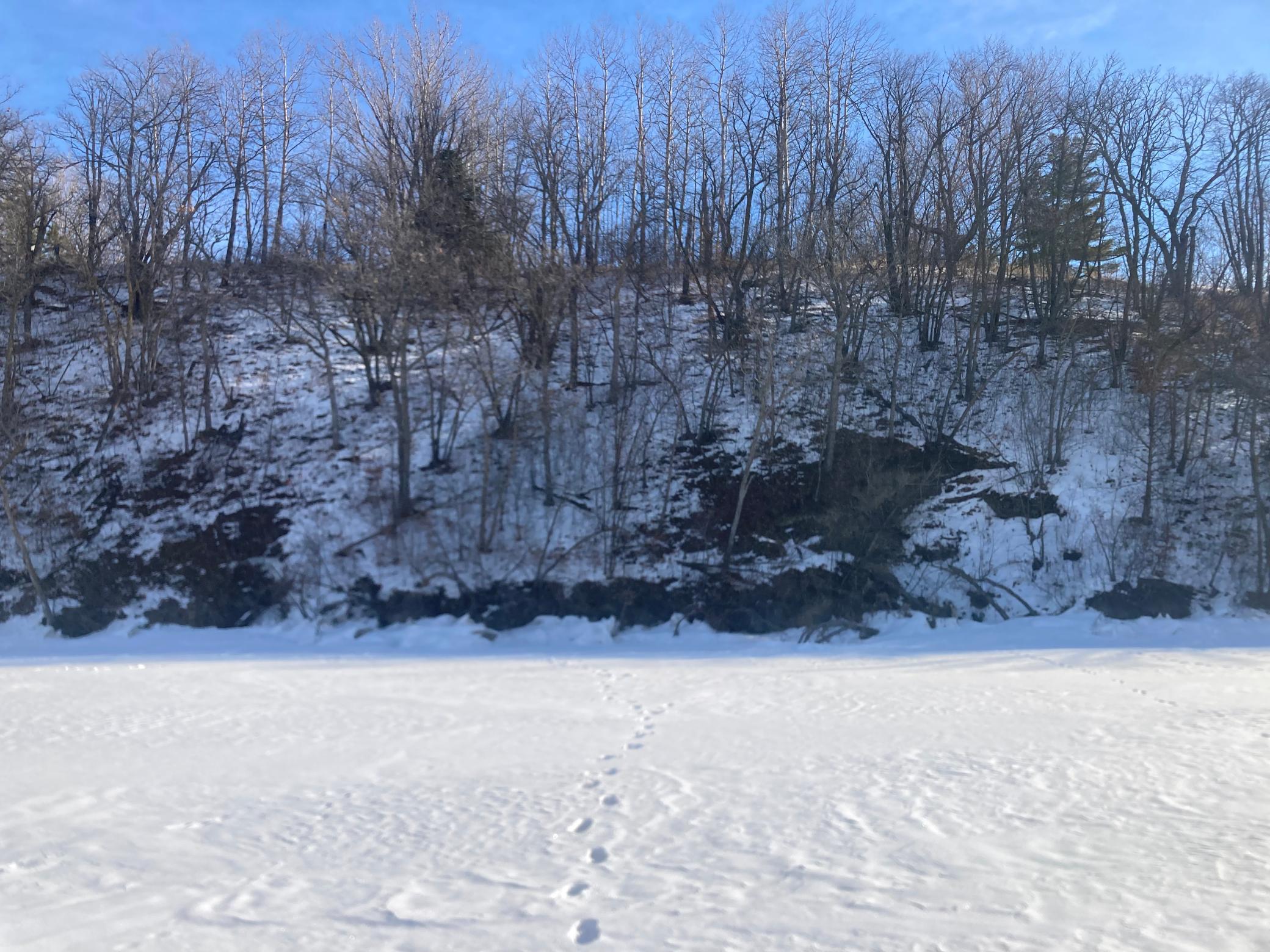 TBD Wild Rose Trail, Frazee MN 56544 - Photo 26 of 26