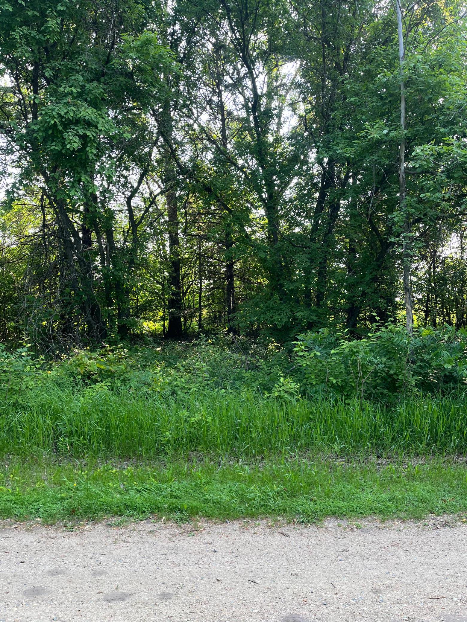 TBD Wild Rose Trail, Frazee MN 56544 - Photo 4 of 26