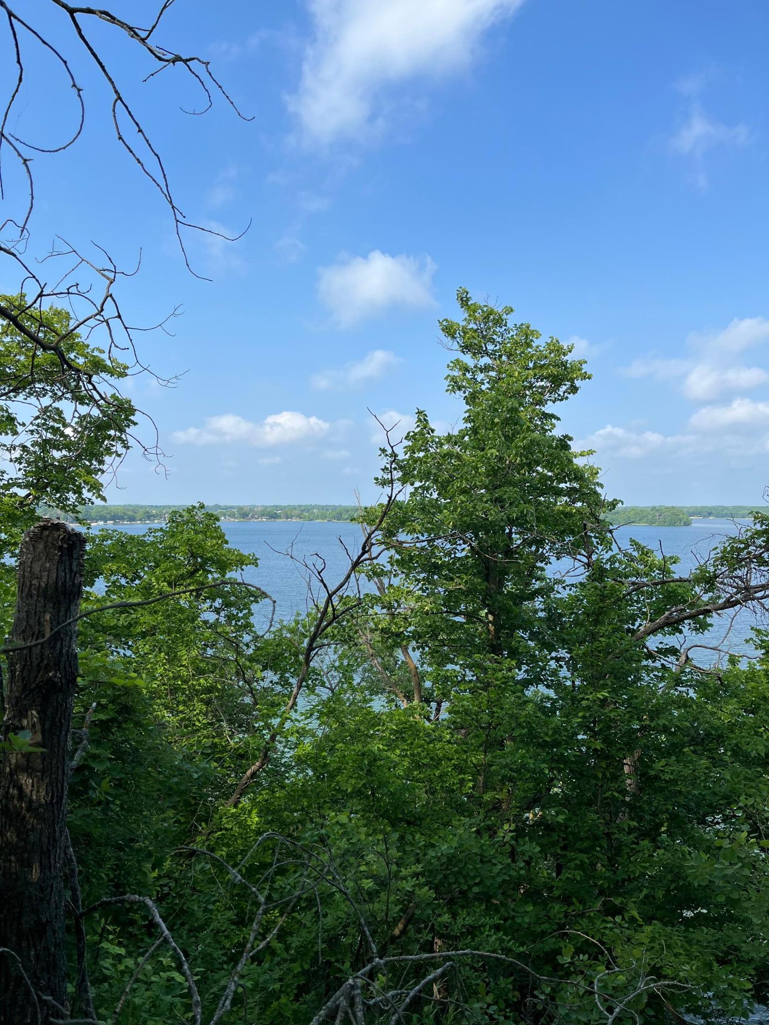 TBD Wild Rose Trail, Frazee MN 56544 - Photo 6 of 26
