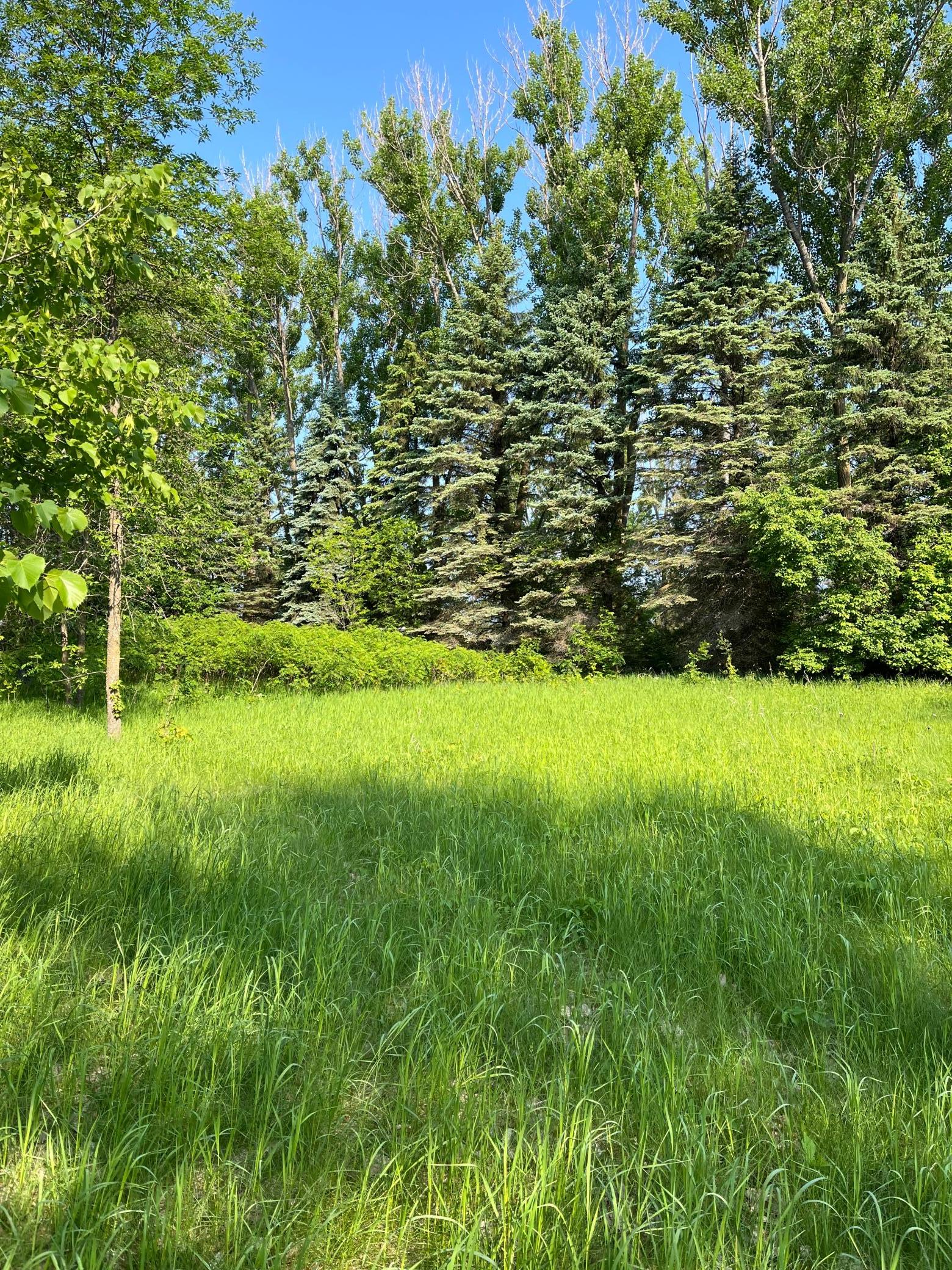 TBD Wild Rose Trail, Frazee MN 56544 - Photo 8 of 26