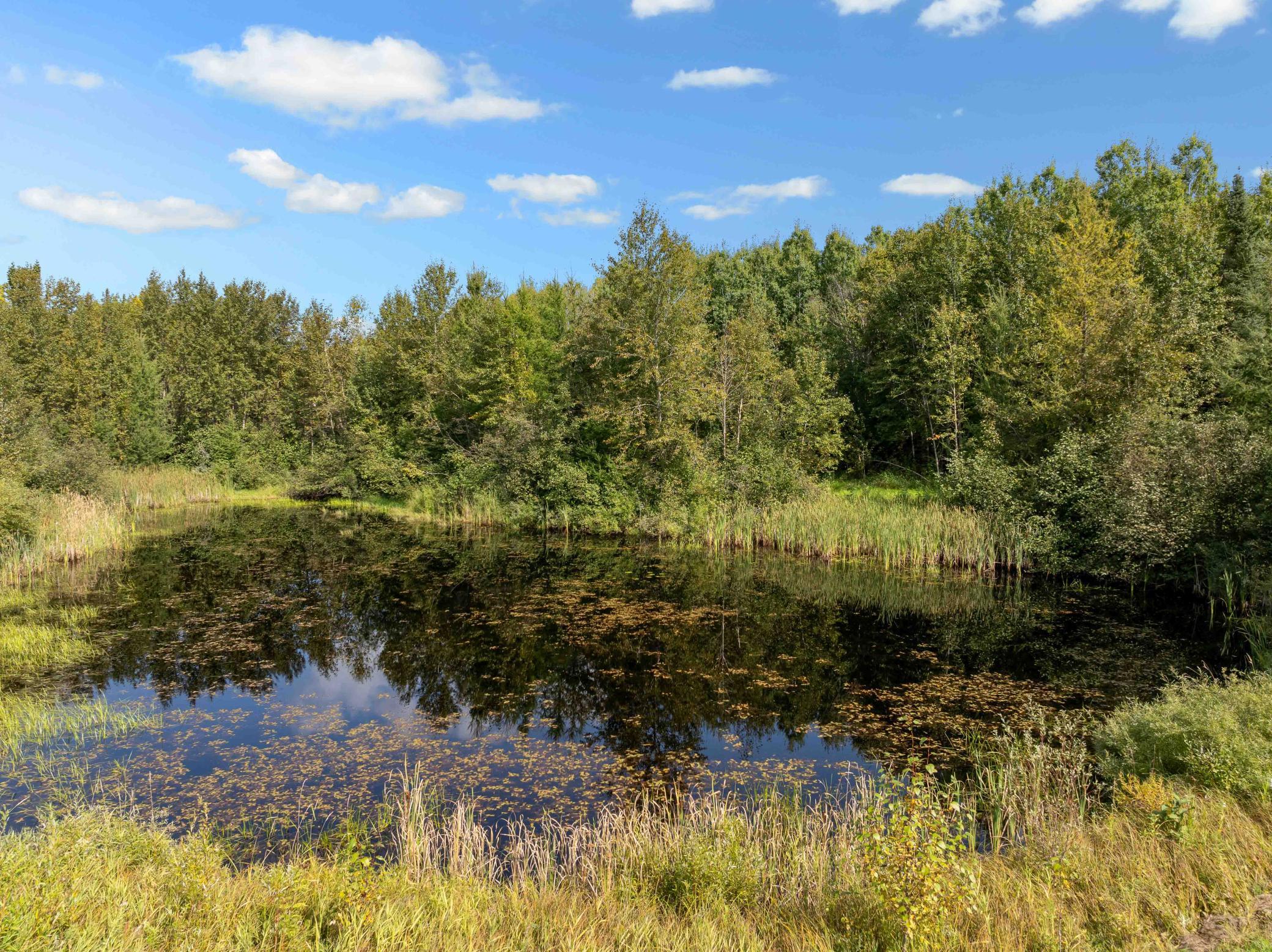 20634 County Road 530, Bovey MN 55709 - Photo 8 of 57