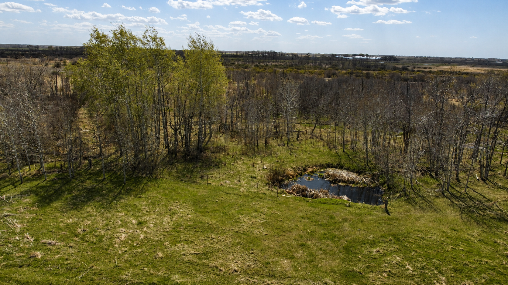 32524 490th Avenue, Ottertail MN 56571 - Photo 11 of 33