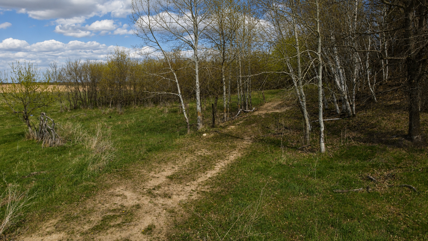 32524 490th Avenue, Ottertail MN 56571 - Photo 13 of 33