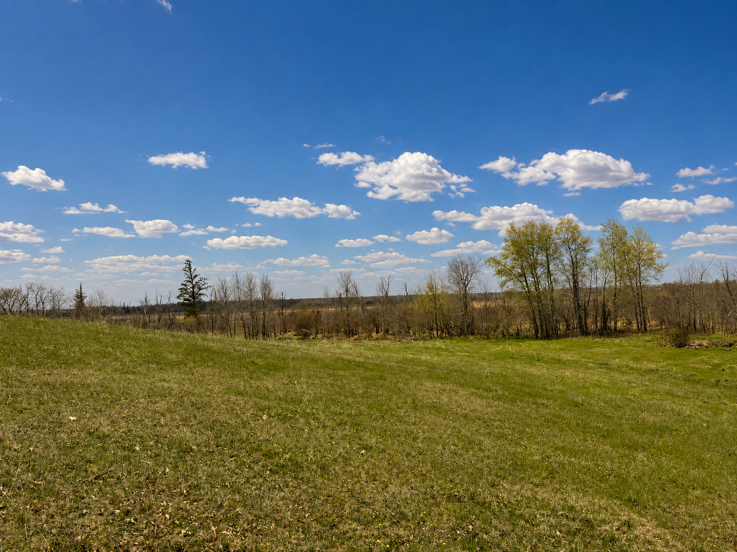 32524 490th Avenue, Ottertail MN 56571 - Photo 25 of 33