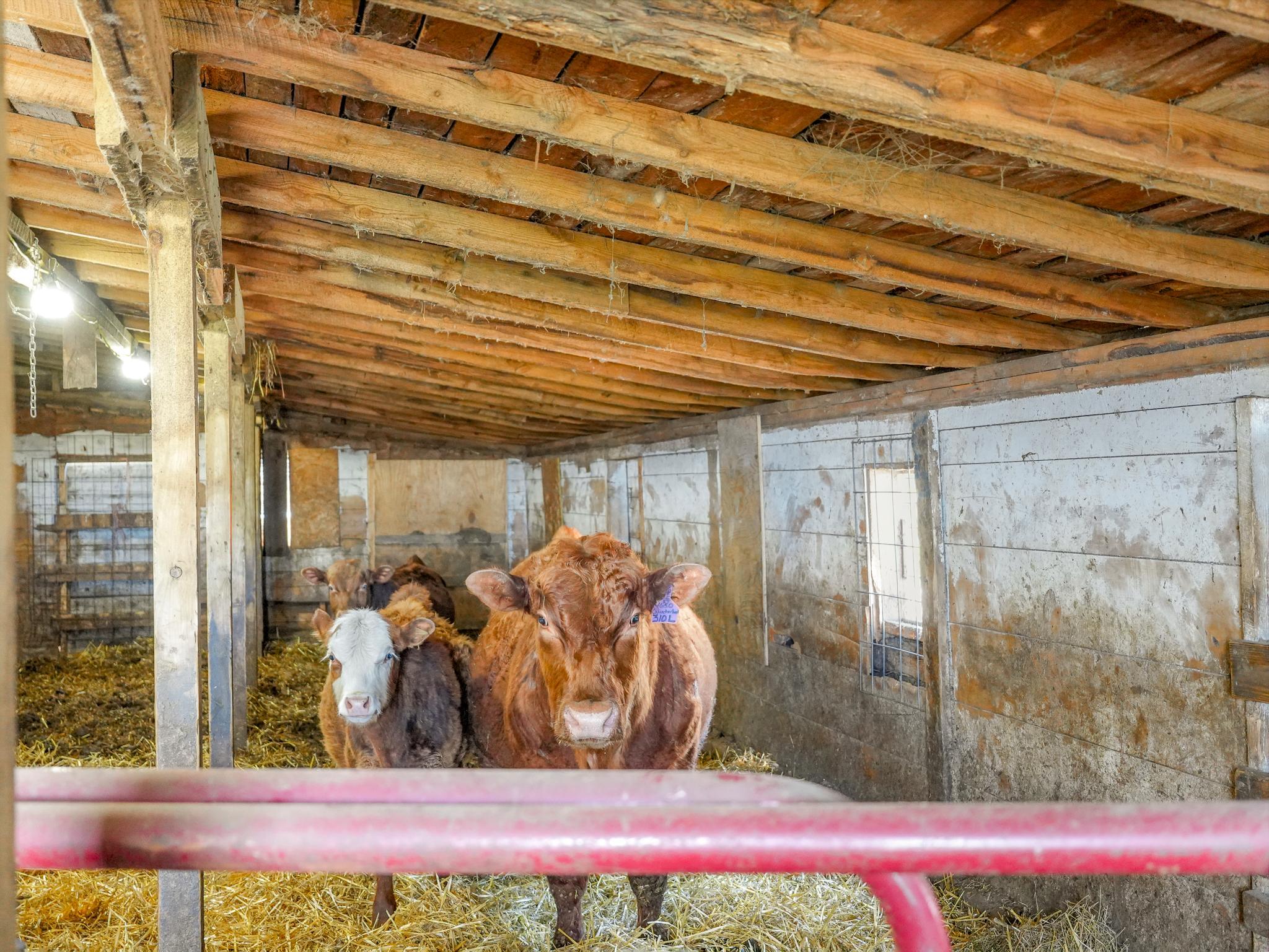 11100 Co Hwy 39, Frazee MN 56544 - Photo 17 of 31