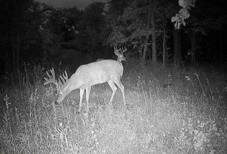 41621 County Highway 41, Dent MN 56528 - Photo 56 of 59