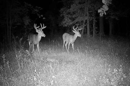 41621 County Highway 41, Dent MN 56528 - Photo 57 of 59