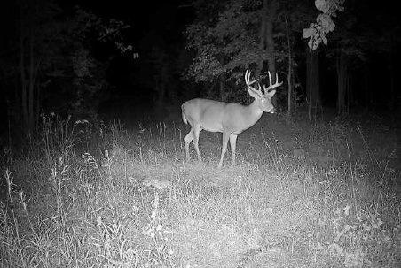 41621 County Highway 41, Dent MN 56528 - Photo 59 of 59