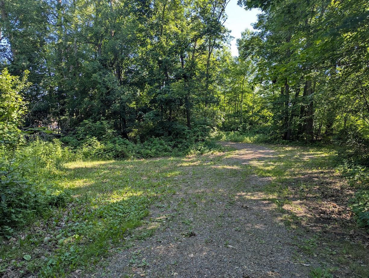 51256 207th Place, McGregor MN 55760 - Photo 5 of 14