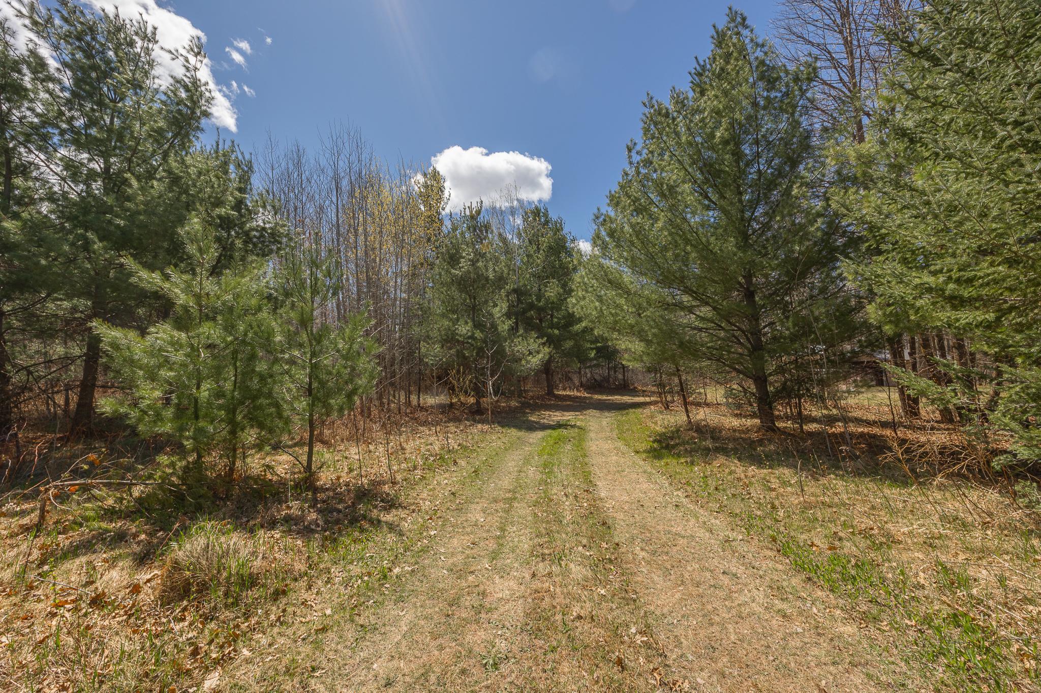 8891 Boy Lake Drive NE, Remer MN 56672 - Photo 22 of 37