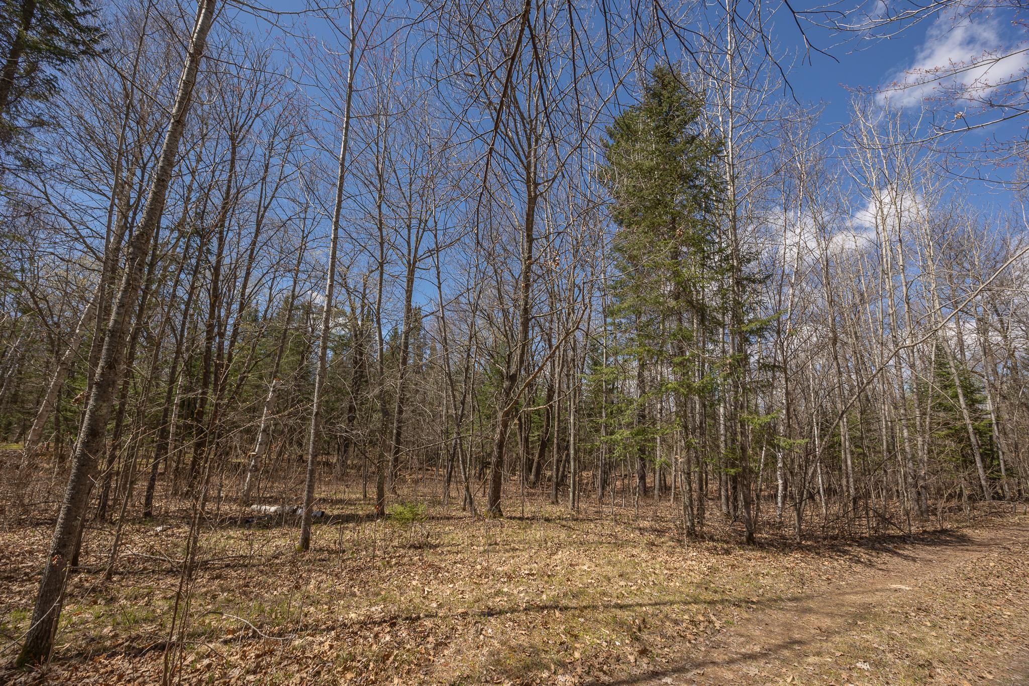 8891 Boy Lake Drive NE, Remer MN 56672 - Photo 23 of 37