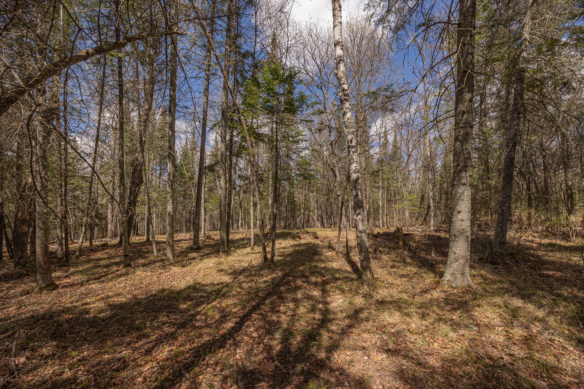 8891 Boy Lake Drive NE, Remer MN 56672 - Photo 25 of 37
