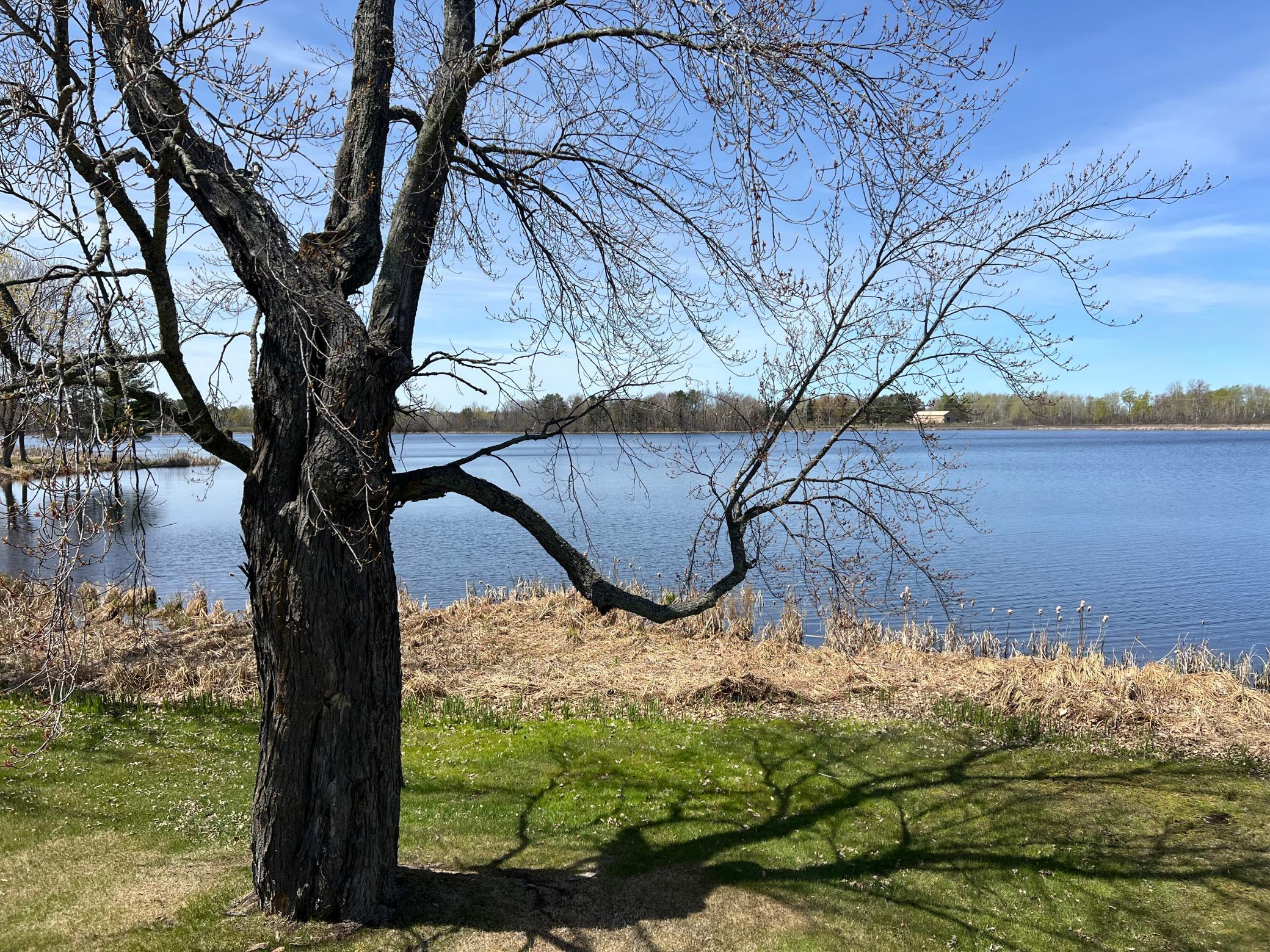 1986 single family home for sale at 42380 352nd Lane in Aitkin, MN — 2 bed, 2 bath (photo 7 of 32)