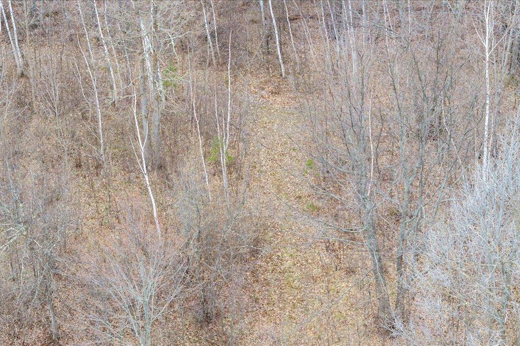 TBD Kestrel Trail NW, Hackensack MN 56452 - Photo 11 of 21