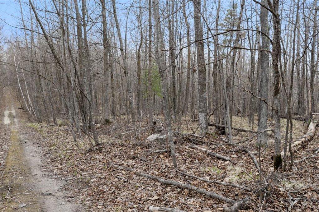 TBD Kestrel Trail NW, Hackensack MN 56452 - Photo 12 of 21