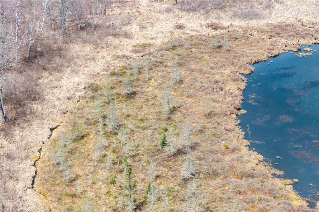 TBD Kestrel Trail NW, Hackensack MN 56452 - Photo 13 of 21
