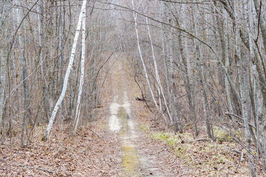 TBD Kestrel Trail NW, Hackensack MN 56452 - Photo 5 of 21