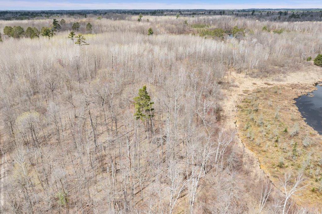 TBD Kestrel Trail NW, Hackensack MN 56452 - Photo 8 of 21