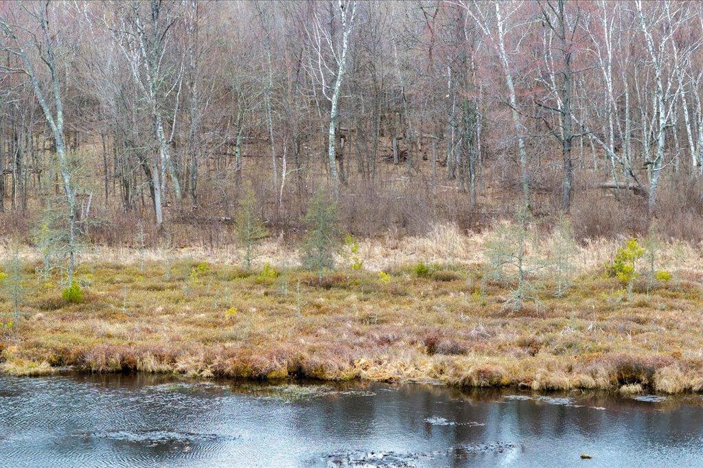 TBD Kestrel Trail NW, Hackensack MN 56452 - Photo 9 of 21